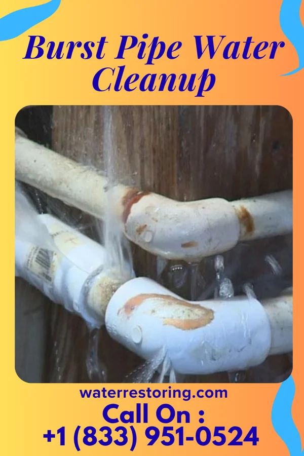Burst Pipe Water Cleanup in Richards, MO